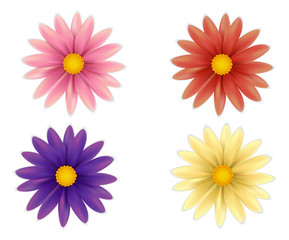 Set of beautiful colorful flowers.