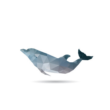 Abstract dolphin isolated on a white background