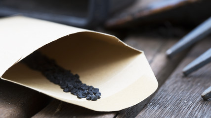 Planting Onion Seeds