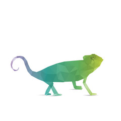 Abstract Iguana isolated on a white backgrounds