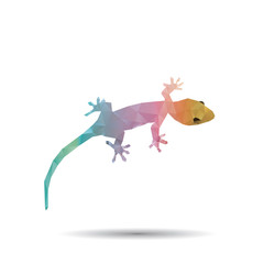 Abstract geckos isolated on a white backgrounds