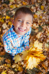 Cute boy with autumn leaves