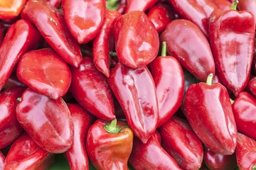 Red beets in traditional vegetables market