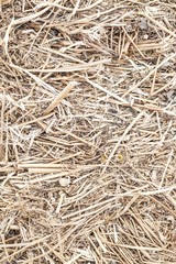 Background texture with a bale of straw