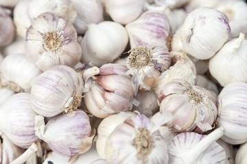 Garlic for sale