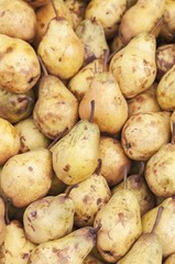 Sweet pears in big market