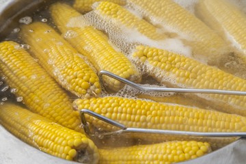 Boiled corn for sale