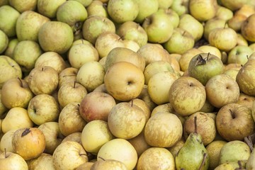 Fresh apple and pears exposed for sale