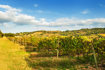 Fototapeta na wymiar Autumn Tuscany landscape