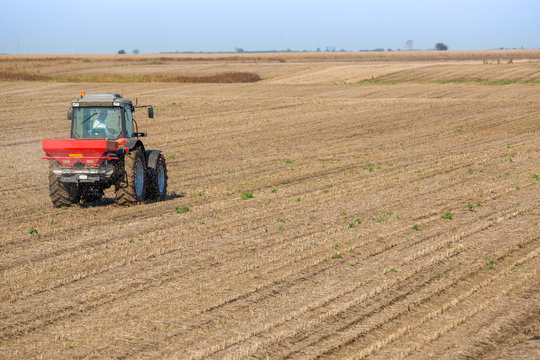 Farmer fertilizing soybean residues field with npk fertilizer