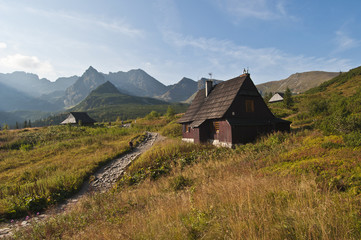 Hala Gąsienicowa © Grzegorz Giemza