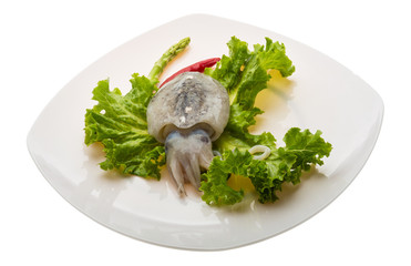 Raw cuttlefish