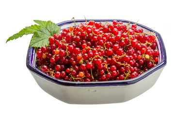 Red currant