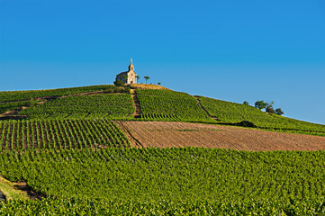 Hill of Fleurie village - Beaujolais