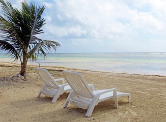 Umbrellas and lounge chairs under a palm tree, on a secluded bea