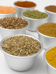 Fennel Seed