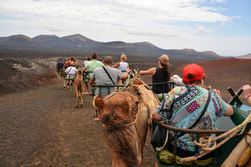ruta turistica en camellos