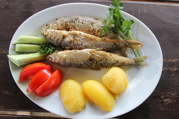 Fish food on the plate