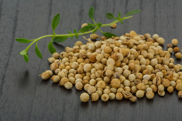 Coriander seeds
