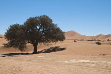 Deadvlei, Namib-Naukluft-Nationalpark, Namibia