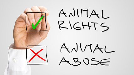 Marking Check Boxes for Animal Rights and Abuse