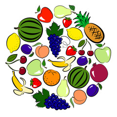 Fruits circle