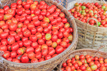 Tomatoes in the basket
