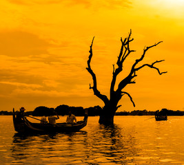 Dead tree and a boat at the lake in  Mandalay, Myanmar