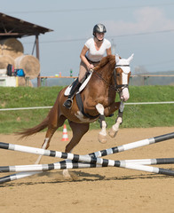 	horse jumping