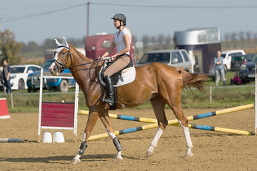 	horse jumping