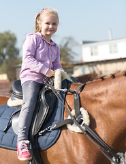 horse jumping