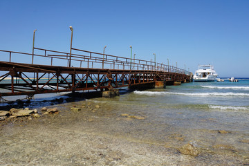 Fototapeta premium red sea