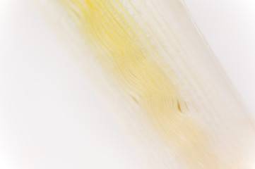 Veggi-Art