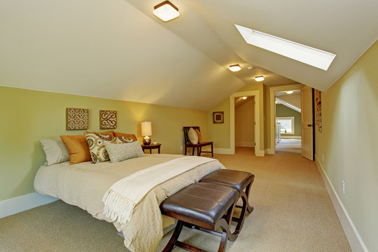 Spacious  master bedroom with vaulted ceiling and skylight