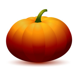 Realistic Pumpkin