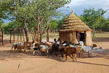 Himba village near the Etosha National Park in Namibia - obrazy, fototapety, plakaty
