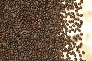 Caffe edition, coffee beans on old paper