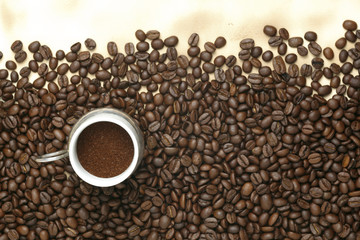 Caffe edition, coffee beans on old paper