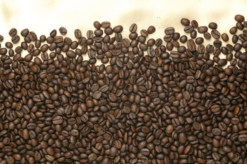 Caffe edition, coffee beans on old paper