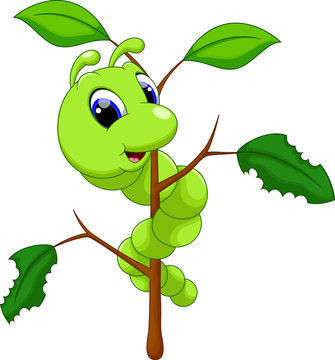 Funny caterpillar runs on a tree branch