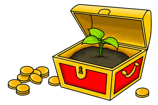 Plant inside a treasure chest. Nature is the true treasure conceptual theme.