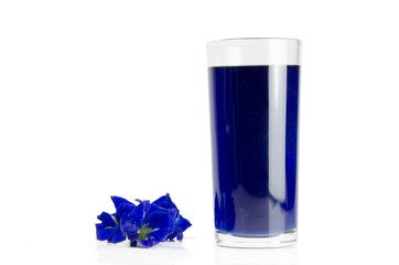 butterfly pea