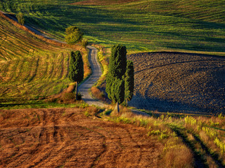 Fototapeta premium Toscania, Włochy, Krajobraz wiejski