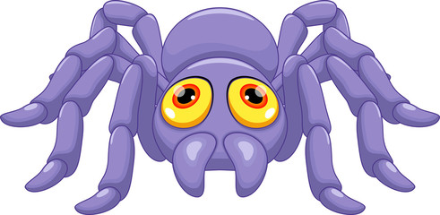 Cute Tarantula cartoon