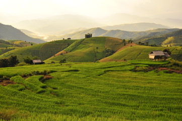 Fototapeta premium Rice Terraced Fields on Mountains