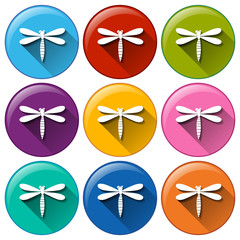 Dragonfly icons