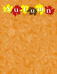 Autumn background and heading