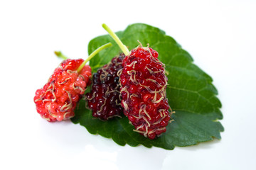 mulberries with a leaves. Isolated on a white background.