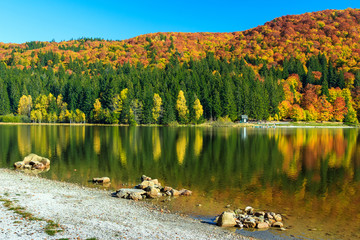 Autumn landscape and colorful forest,St Ana Lake,Romania