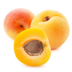 Apricot